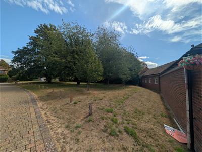 Picture 24